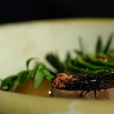 Thalazur Ile Rousse - & 5* 방돌